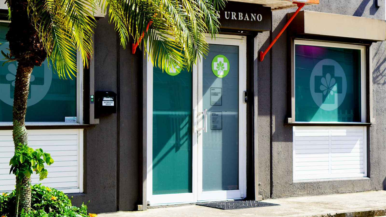 Cush Cannibis Hato Rey Store front